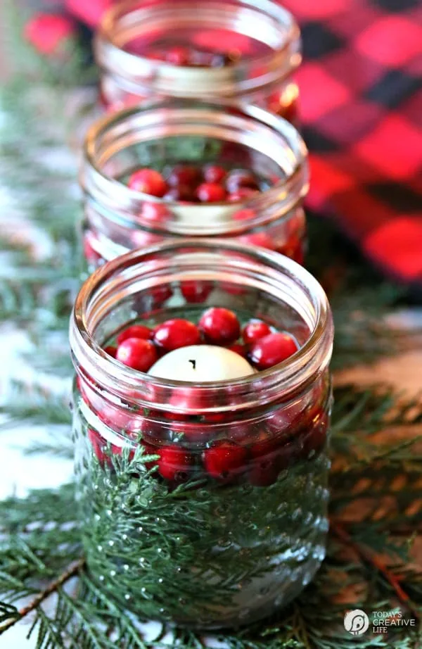 Cranberry Lights