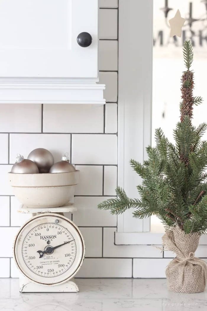Unique Ornament Holders