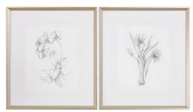 Botanical Prints
