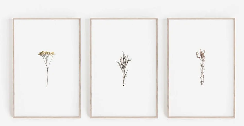 Wall Decor
