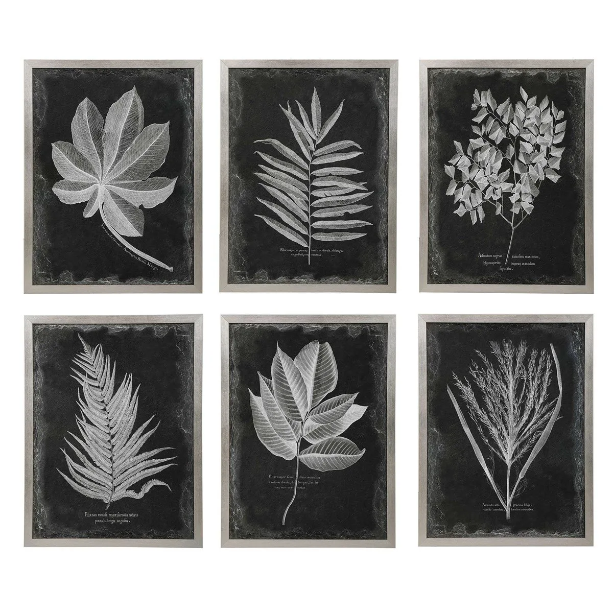 FRAMED FOLIAGE, SET OF 6