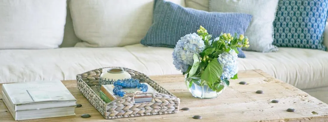 The 1 Item You Need in Your Home