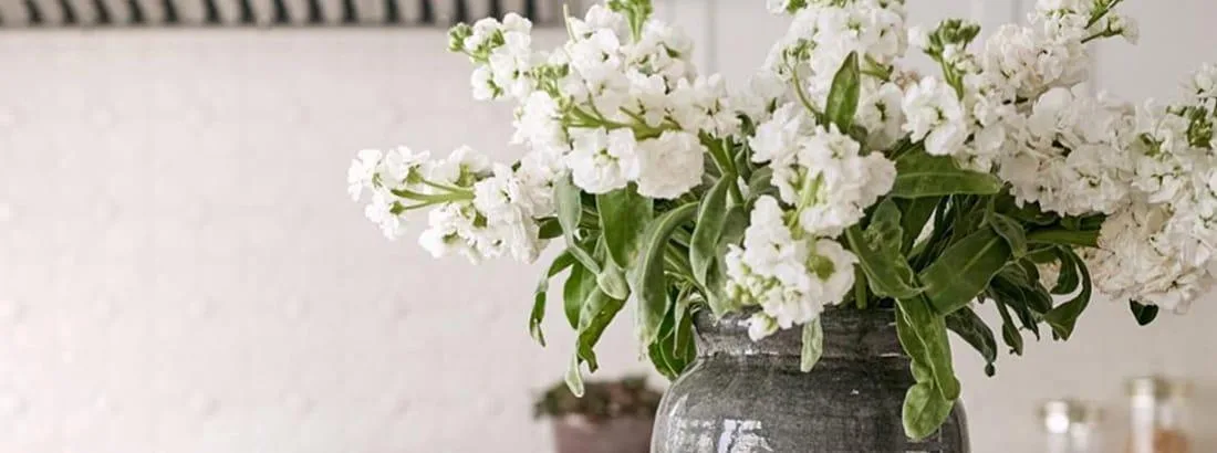 The Top 3 Items Your Home Needs for Spring