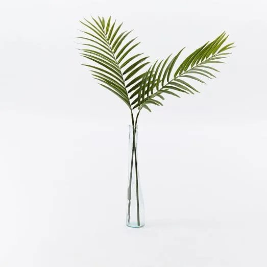 Stems