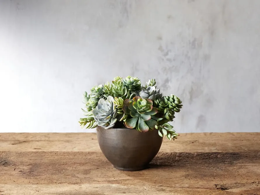 Faux Mix Succulent in Small Bowl