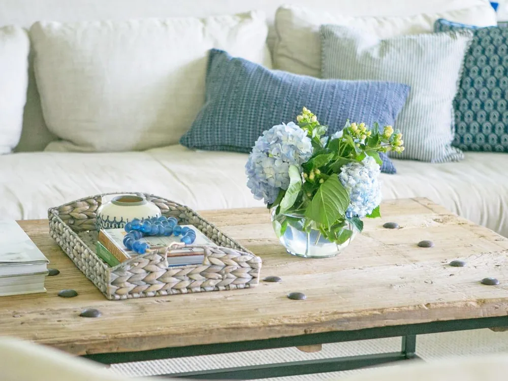 The 1 Item You Need in Your Home