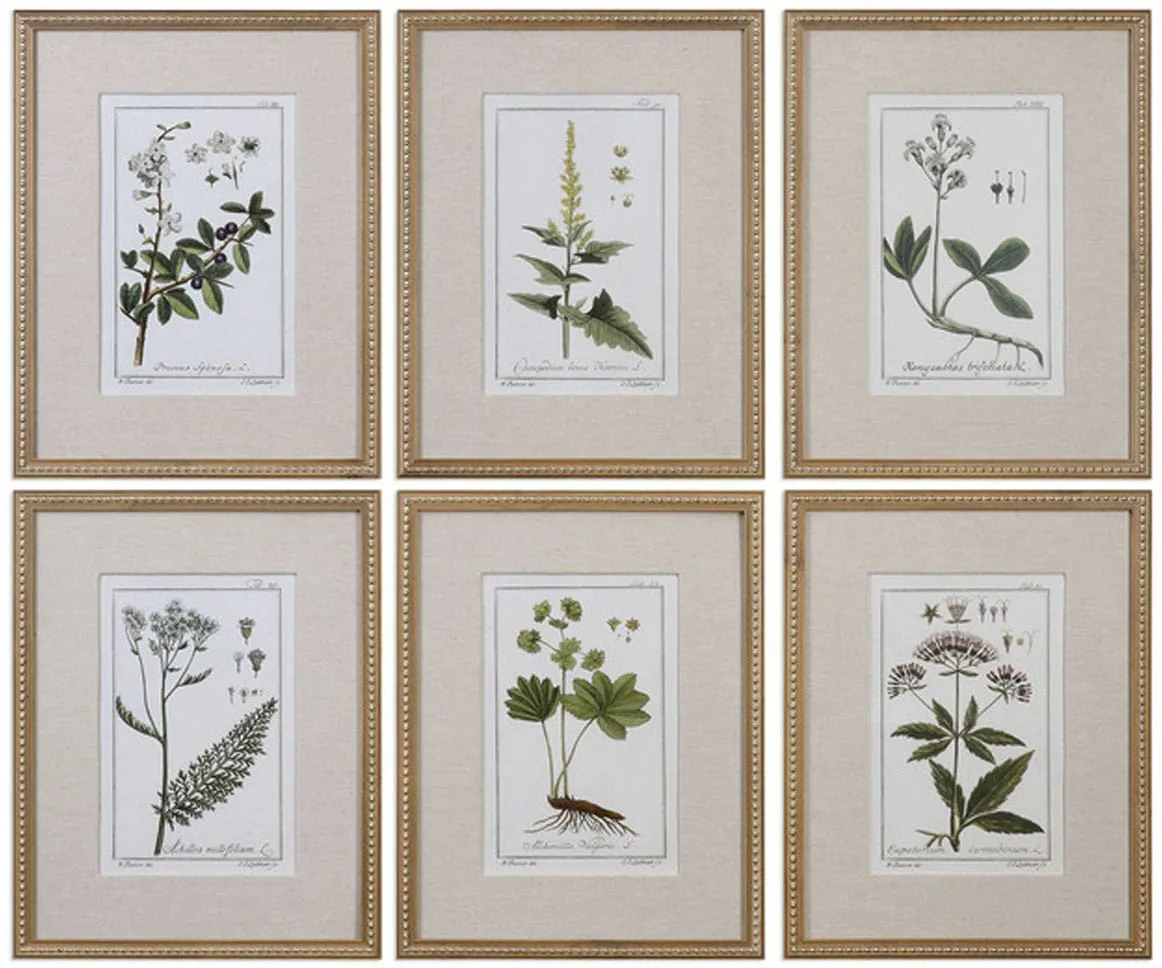 Floral Prints Art