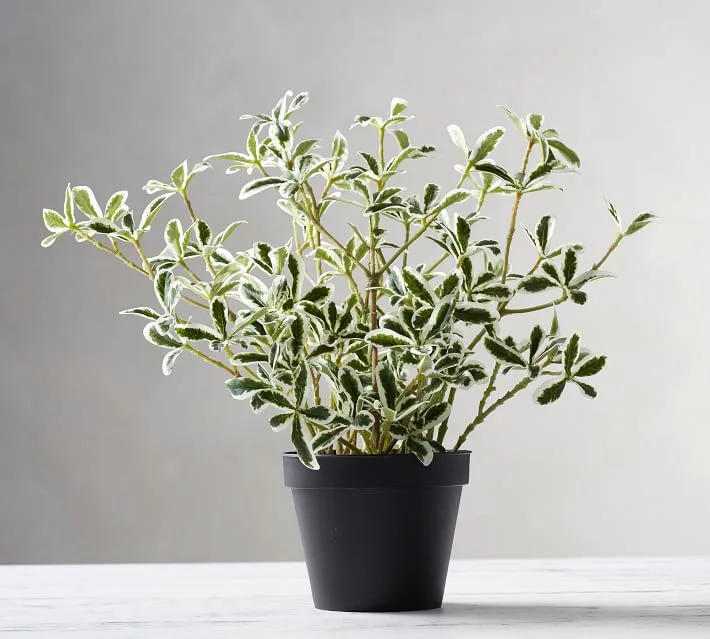 Faux houseplant