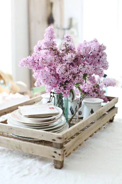 Interior Design Tray Organization