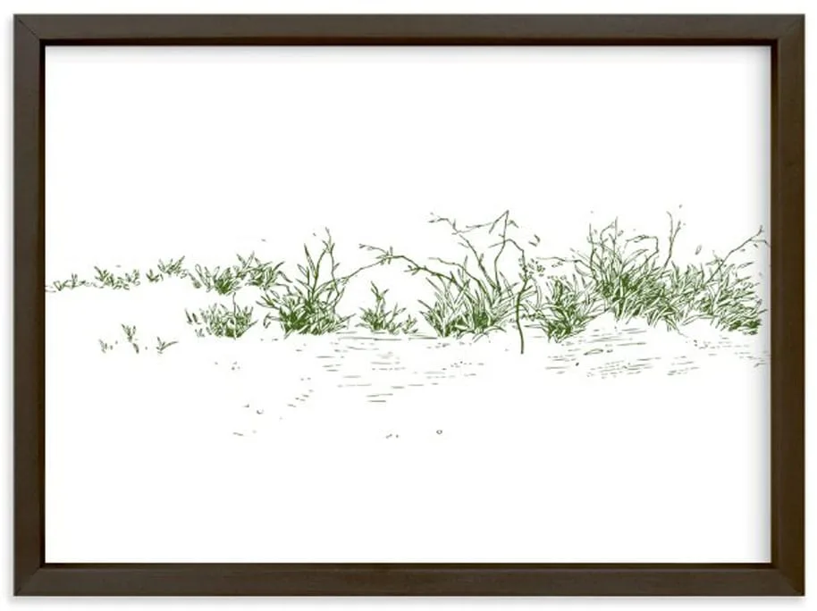 wild grass