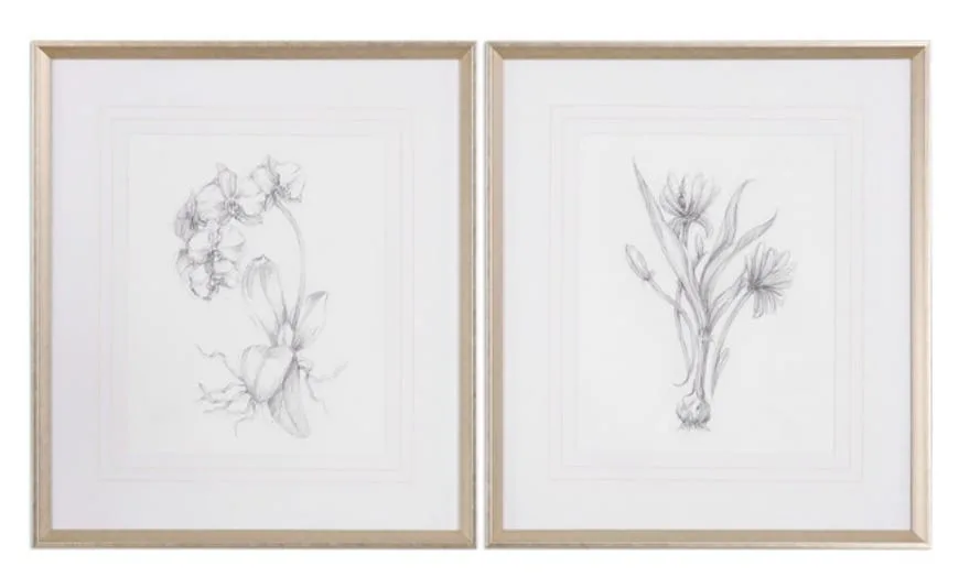 Uttermost 'Botanical Sketches' 2-Piece Framed Print Set, 28x32in