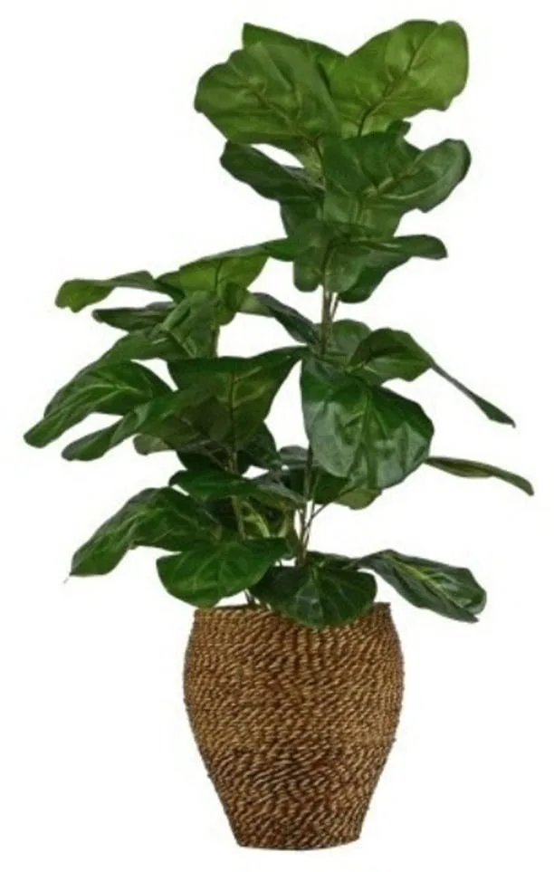 Mauna Faux Fig Plant in Rope Basket