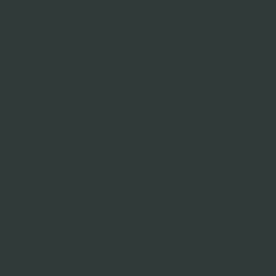 Rockwood Shutter Green Paint