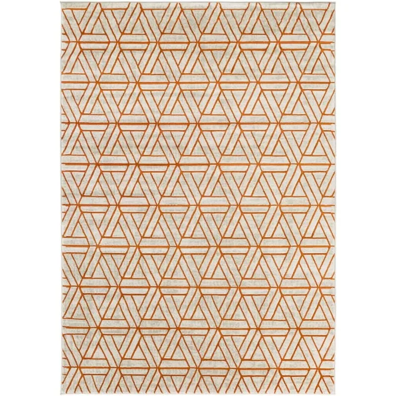 Light Grayburnt Orange Area Rug