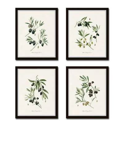 Antique Olive Print Set