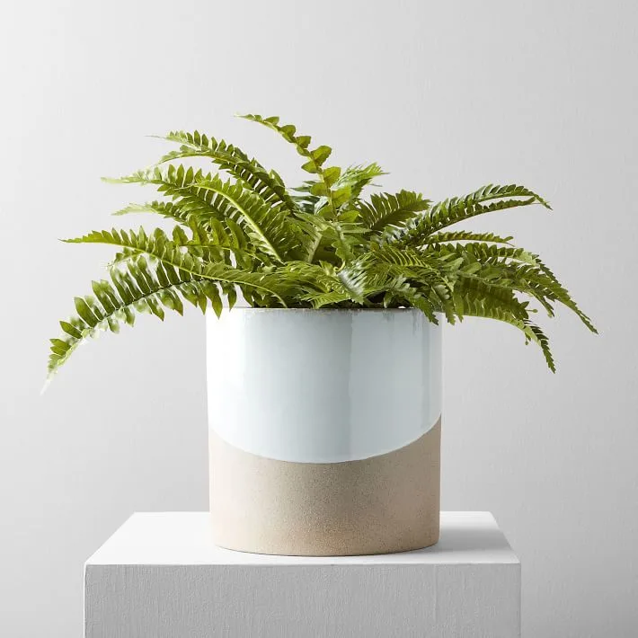Surface Decor Selections: design detail 2