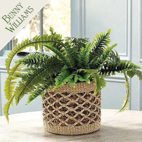 PLANTS: design detail 1