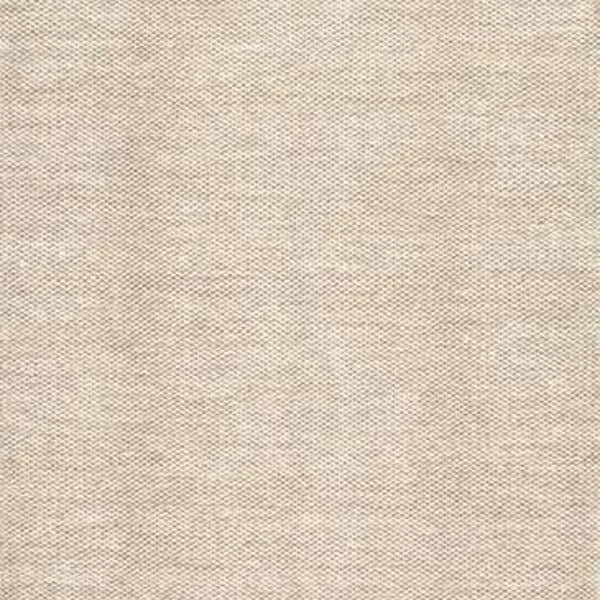 Hand Woven Cotton Casual Solid Rug