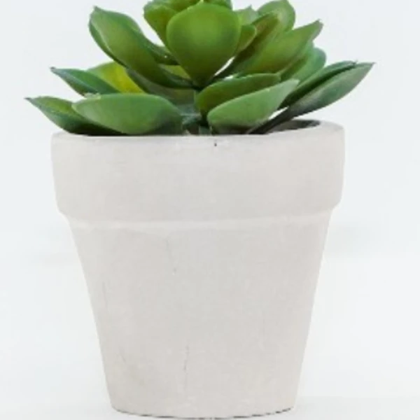 Artificial Succulent and Foliage in Ceramic Pot Green 6" - Lloyd & Hannah