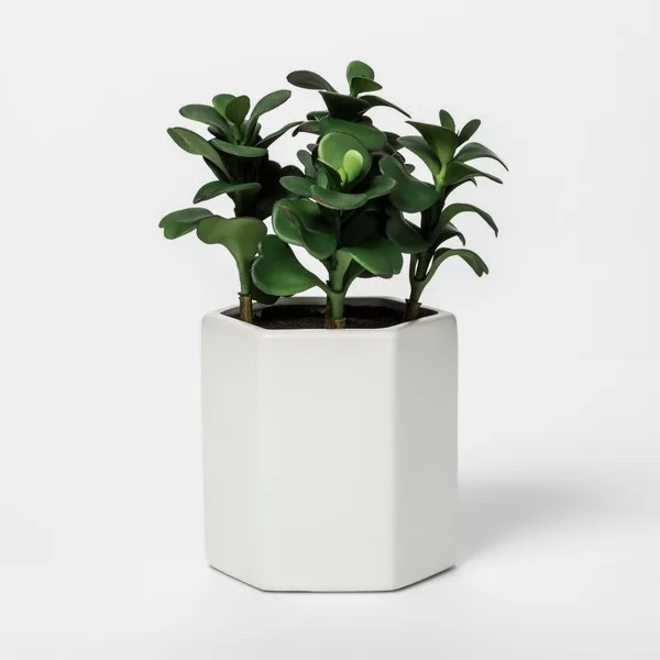 Faux Jade Plant in White Pot