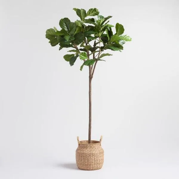 Faux Fiddle Leaf Tree