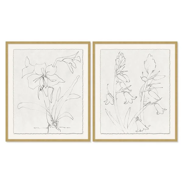AERIN Floral Sketch