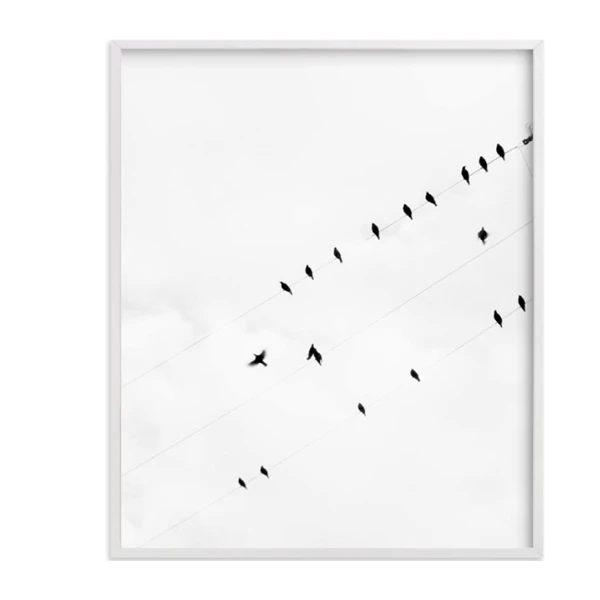 Birds on a wire