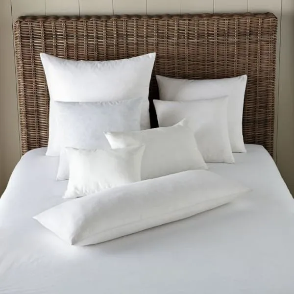 Pillow Insert 20"