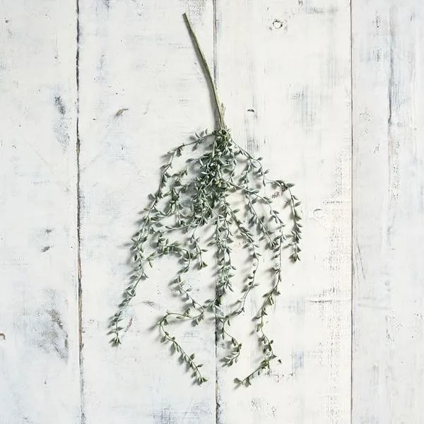 FAUX DONKEY TAIL SUCCULENT