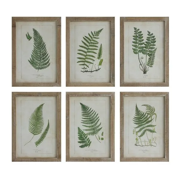 Fern Gatherer 6-piece art set