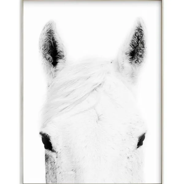 Framed horse print