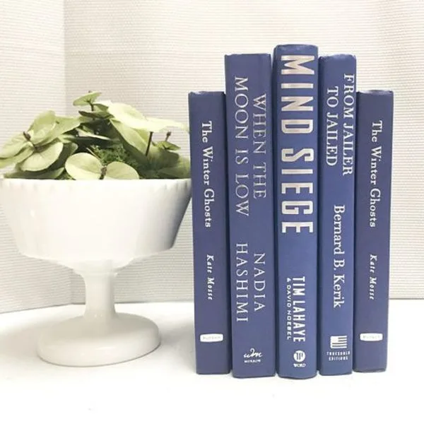 Blue Books for Shelf Decor / Blue Decor / Modern Decor / Book Bundle