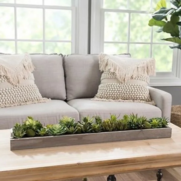 Succulents in Wooden Runner