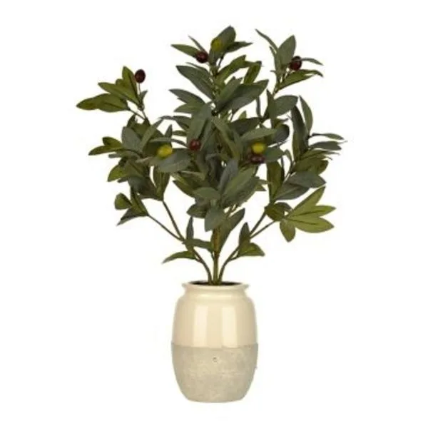 Olive Leaf Arrangement in White Planter