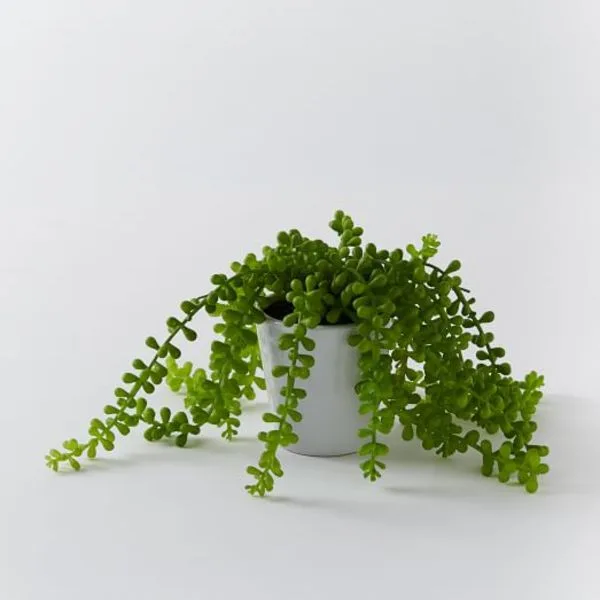 Faux Potted Trailing Succulent