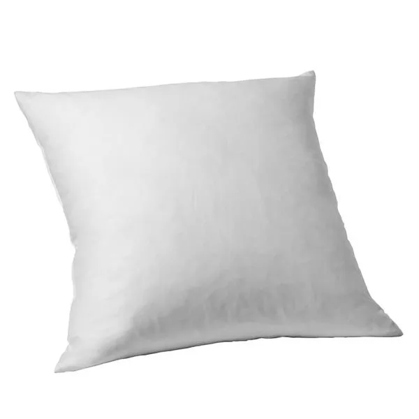 22 Pillow Insert