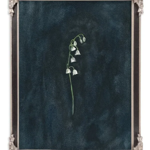 Lily framed art