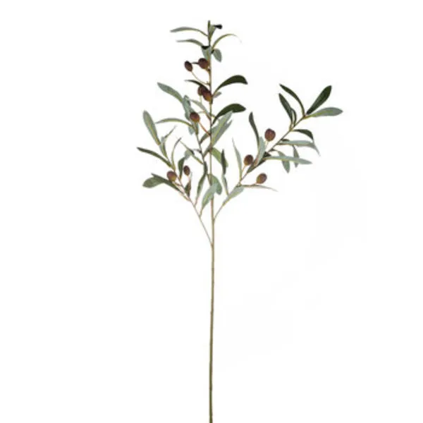 Olive Leaf Spray