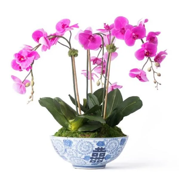 TRIPLE ORCHID IN TRADITIONAL CERAMIC