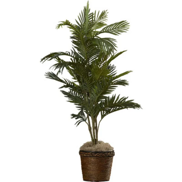 Palm in basket
