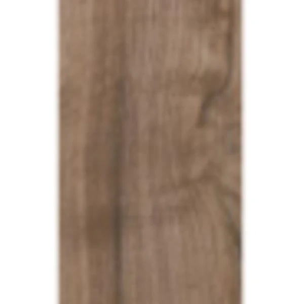 Prospect Ridge Wood Plank Porcelain Tile