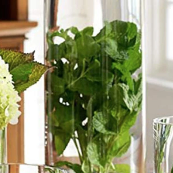 Noah Decoration Hand-Blown Handmade Cylinder Clear Glass - 15.7