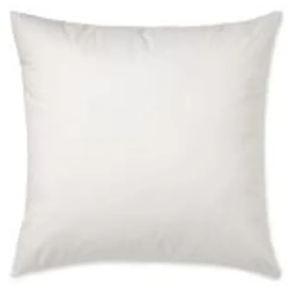 Williams Sonoma Decorative Pillow Insert, 22" X 22"