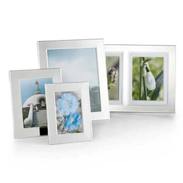 Silver frames
